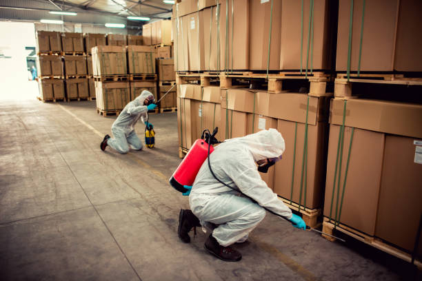 Best Bed Bug Extermination  in Marietta Alderwood, WA