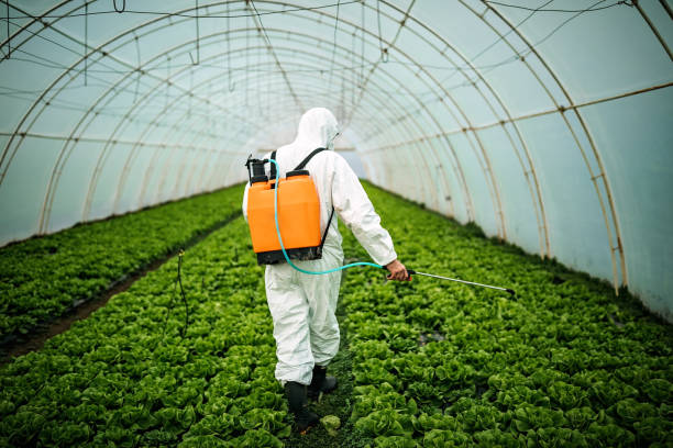 Professional Pest Control in Marietta Alderwood, WA