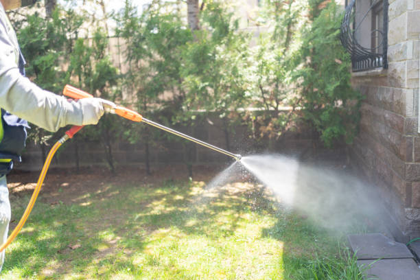 Best Emergency Pest Control  in Marietta Alderwood, WA