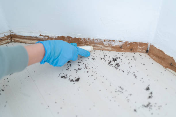 Best Pest Control Near Me in Marietta Alderwood, WA